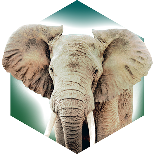 方舟动物园安装手游(Ark Nova)