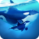 小小水世界（World of Water）