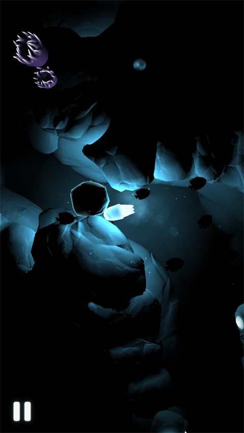 深海之光(Seashine)