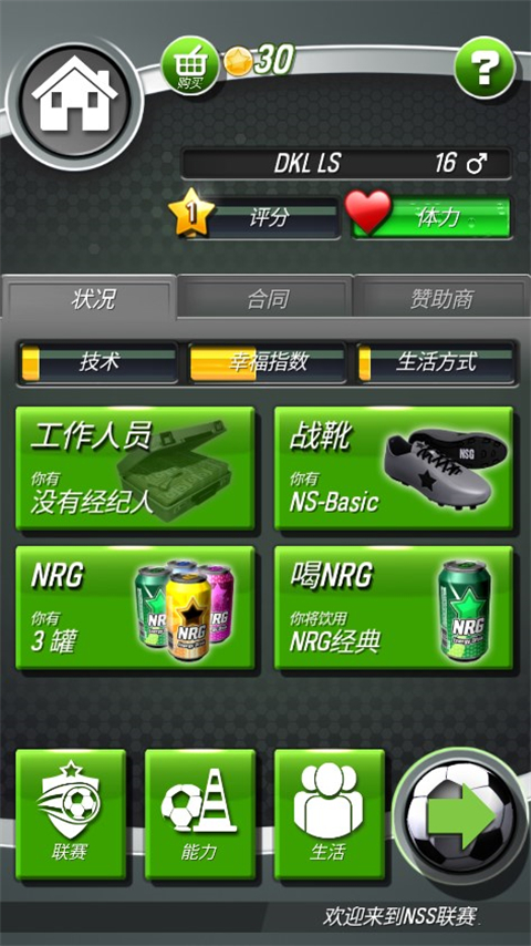 新星足球游戏中文版(New Star Soccer)