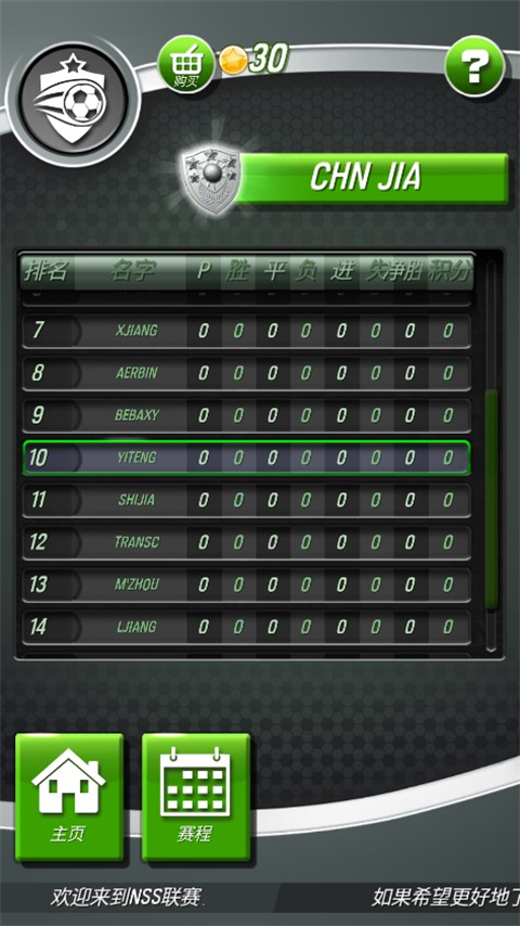 新星足球游戏中文版(New Star Soccer)