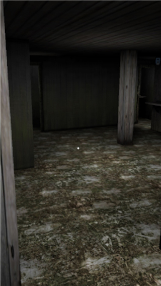 恐怖奶奶8中文版