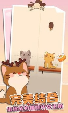 猫咪二重奏正版