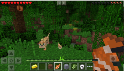 我的世界现实版游戏