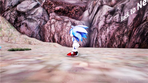 索尼克大冒险2中文版