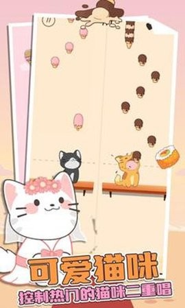 猫咪二重奏正版