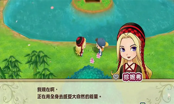 牧场物语重聚矿石镇安卓版