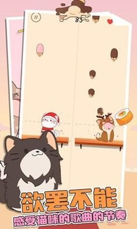 猫咪二重奏正版