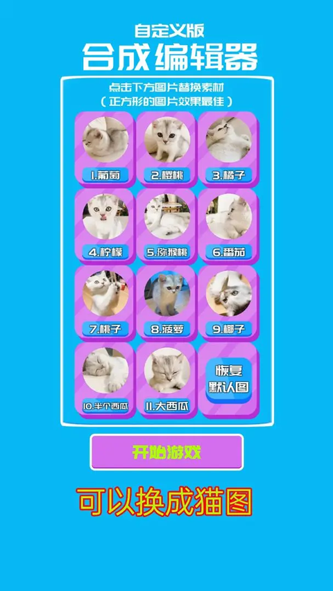 合成大西瓜自定义版