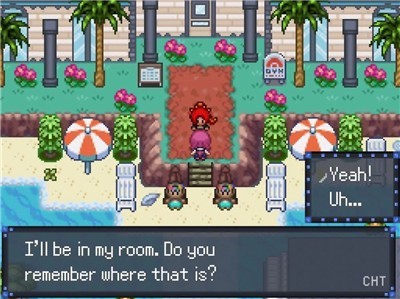 口袋妖怪黑2中文版