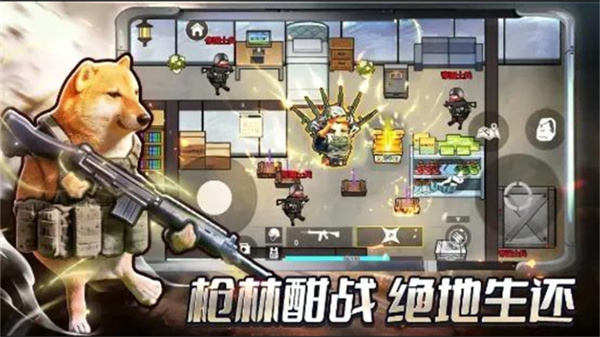 修勾三角行动正版