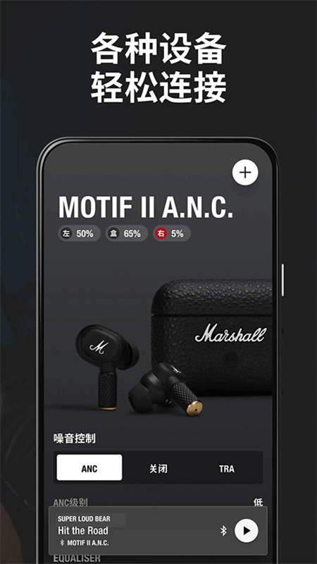 Marshall Bluetooth