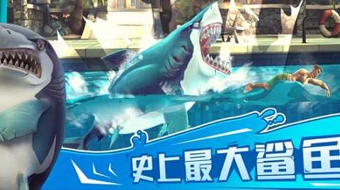 饥饿鲨世界国际服安卓版