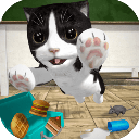 猫咪模拟器中文版