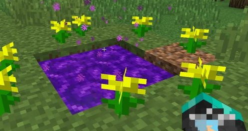 我的世界暮色森林