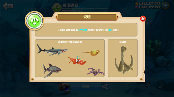HungrySharkworld国际版