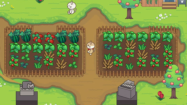 猫咪森林中文版