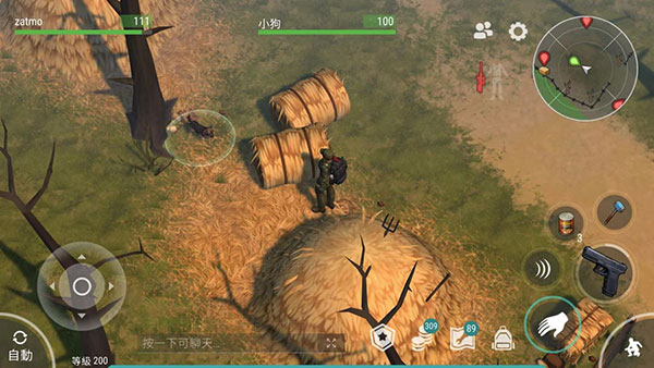 农场狗狗分布图