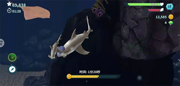 双髻鲨淘金潮场景