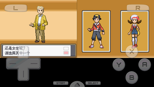 口袋妖怪金心银魂