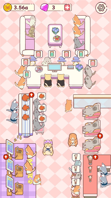 Cat Hotel