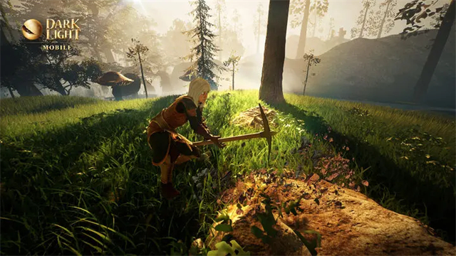 黑暗与光明国际服