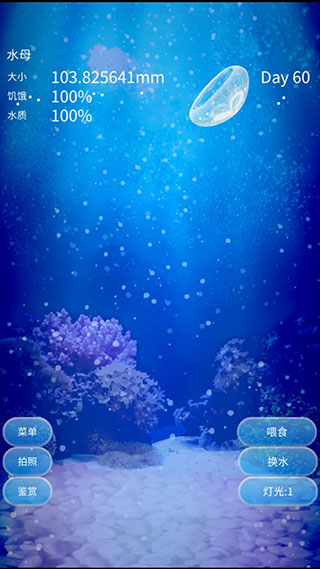 养育水母的治愈游戏