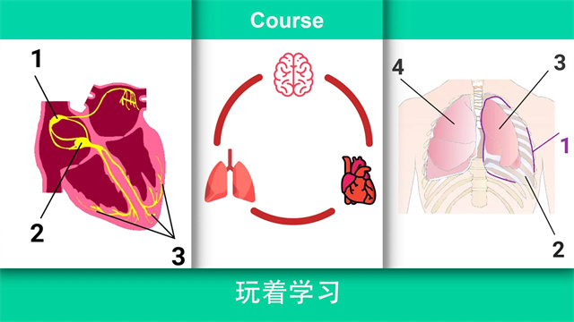 Reanimation inc模拟器