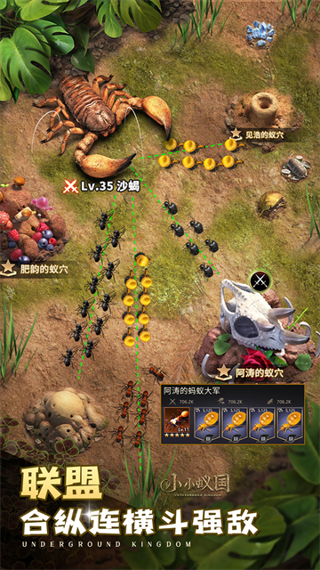 小小蚁国极速发育版