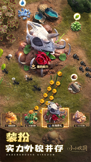 小小蚁国极速发育版