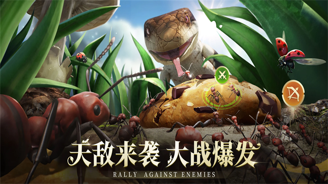 小小蚁国国际服