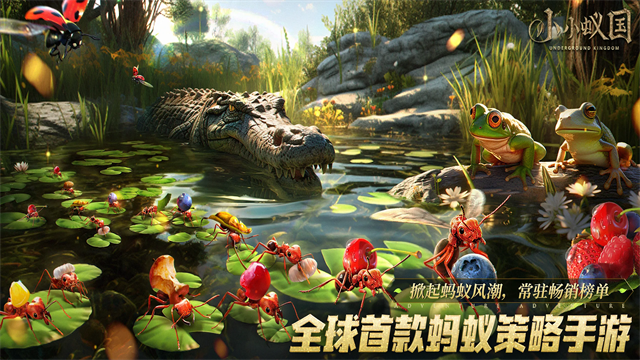 小小蚁国国际服