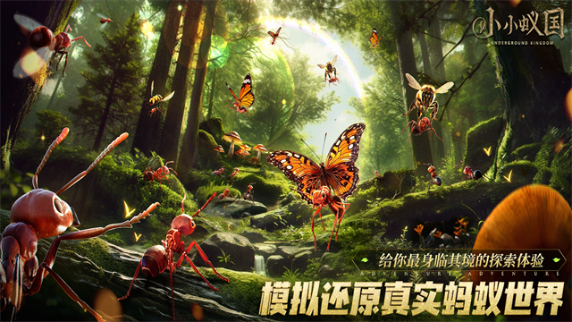 蚂蚁地下王国国际服