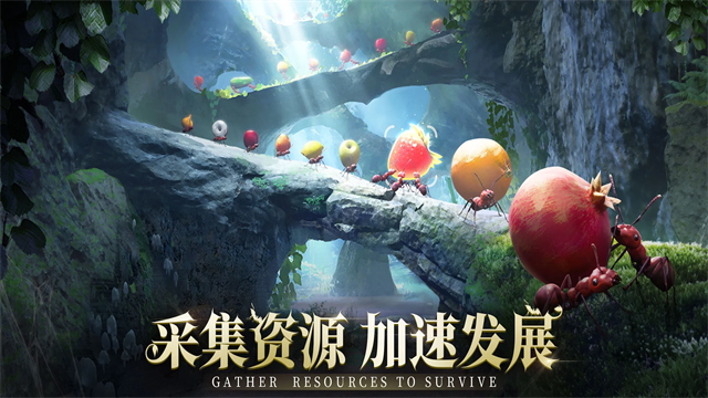 蚂蚁地下王国国际服