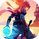 重生细胞小米版