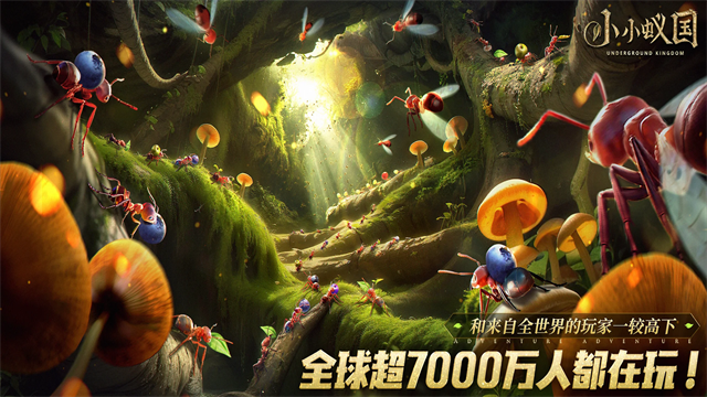 蚂蚁地下王国国际服