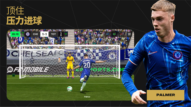 FC足球世界国际服