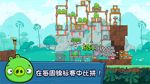 愤怒的小鸟朋友