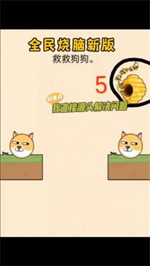 拯救狗狗不被蜜蜂
