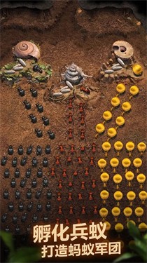 小小蚁国内置MOD