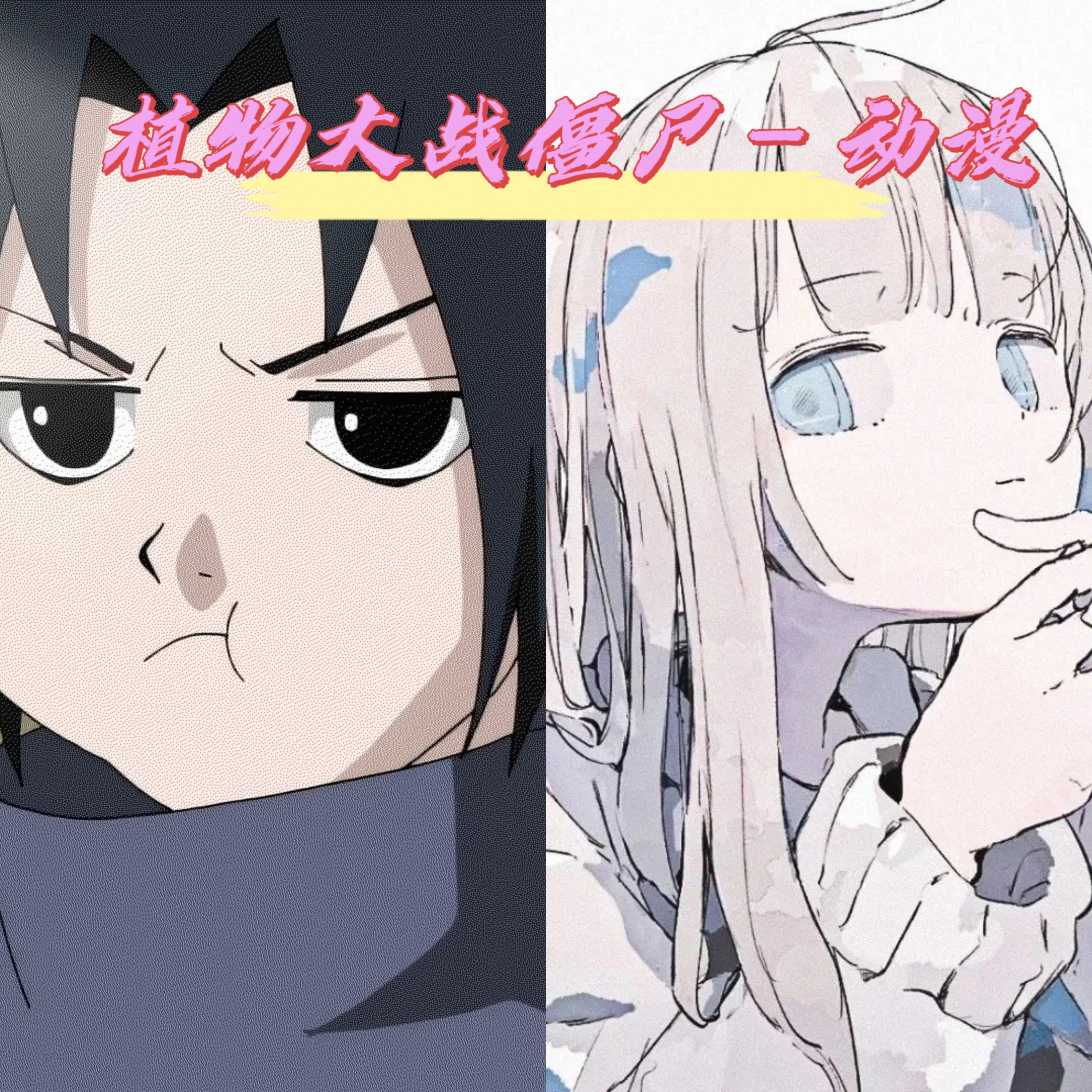 植物大战僵尸电脑移植版