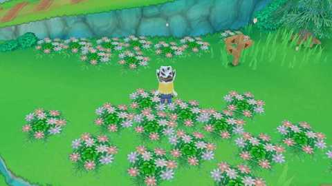 牧场物语起源的大地