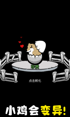 养鸡时长两年半