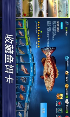 钓鱼冲突国际服