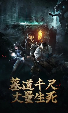 盗墓长生印内置菜单版