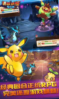 宠物王国单机版