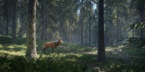 猎人荒野的召唤最新版