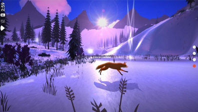 第一棵树中文版