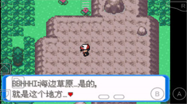 口袋妖怪圣灰内置修改器版