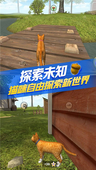 猫咪生存模拟器无限金币版